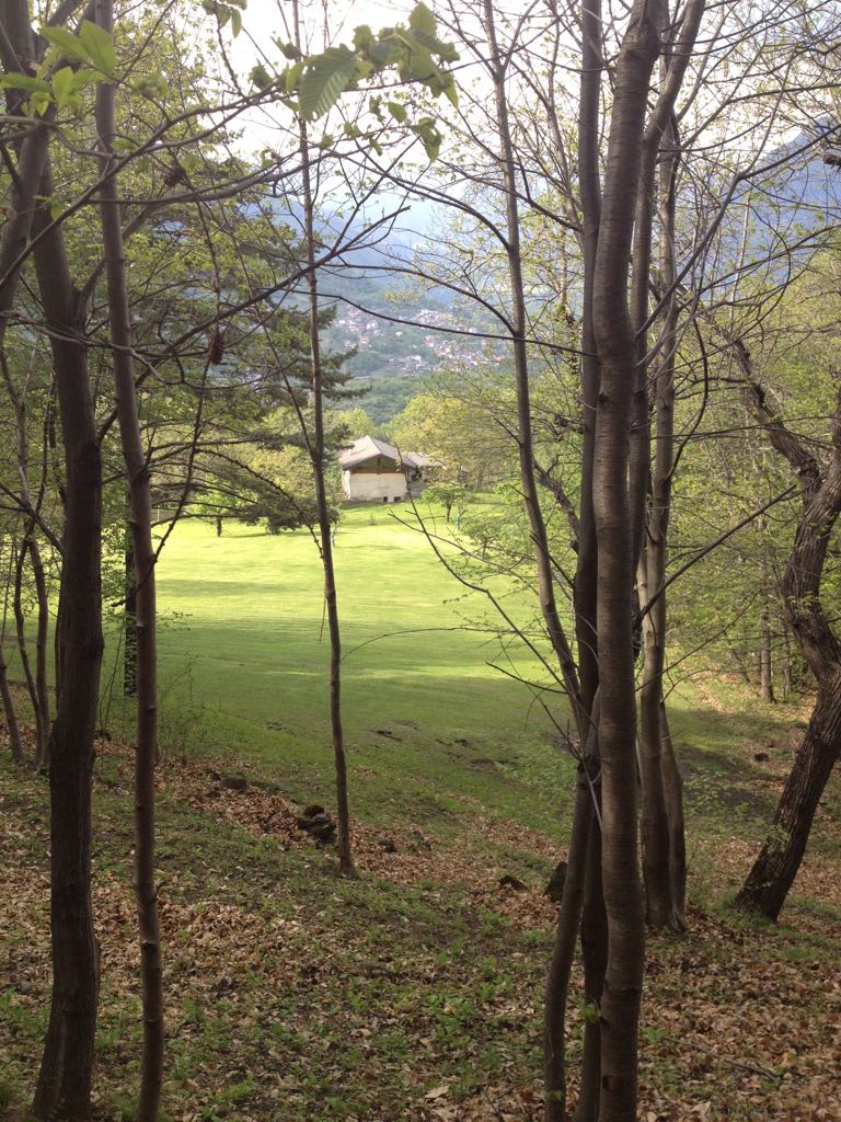 Campo Alardo