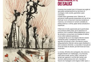 Salici