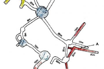 Sfoglia la galleria